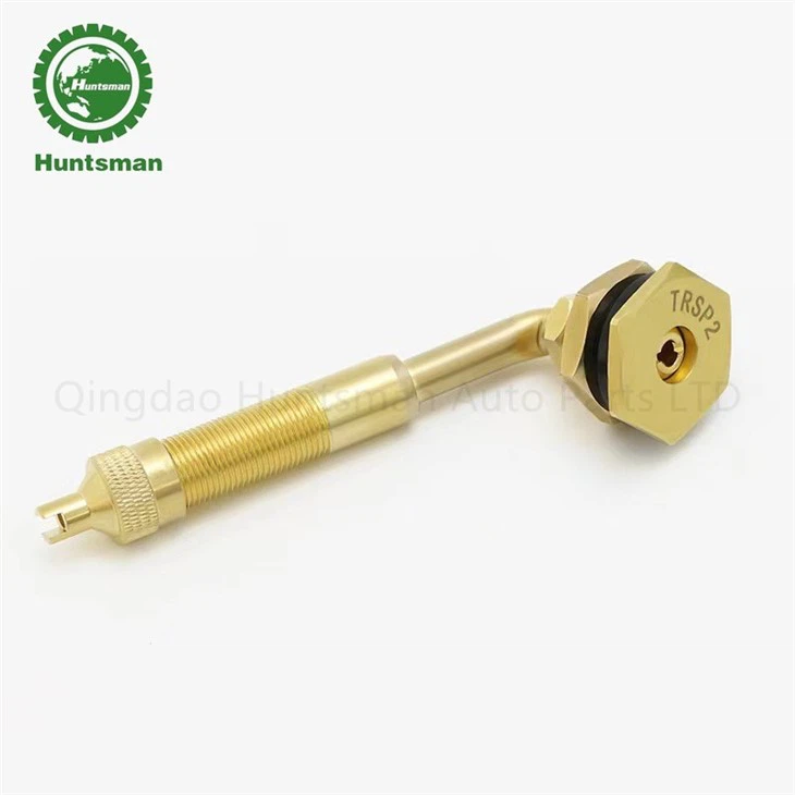 truck tire valve